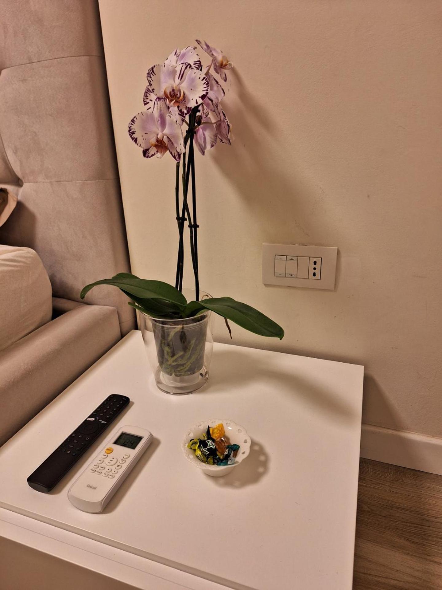 Il Colibri Apartment อาลเกโร ภายนอก รูปภาพ
